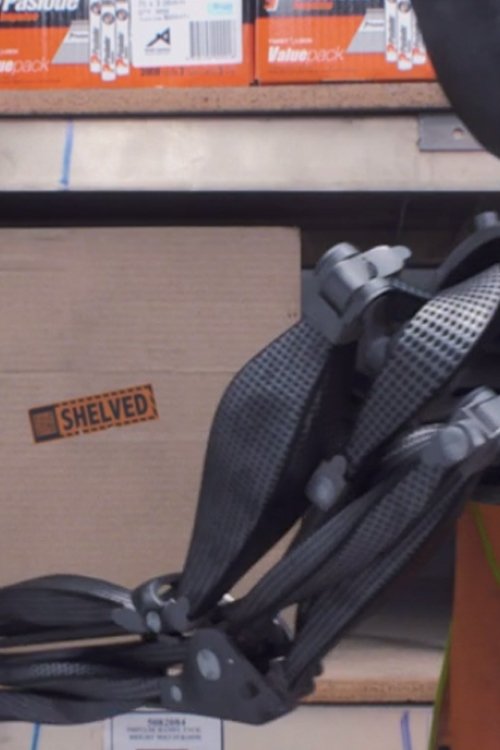Poster de Shelved