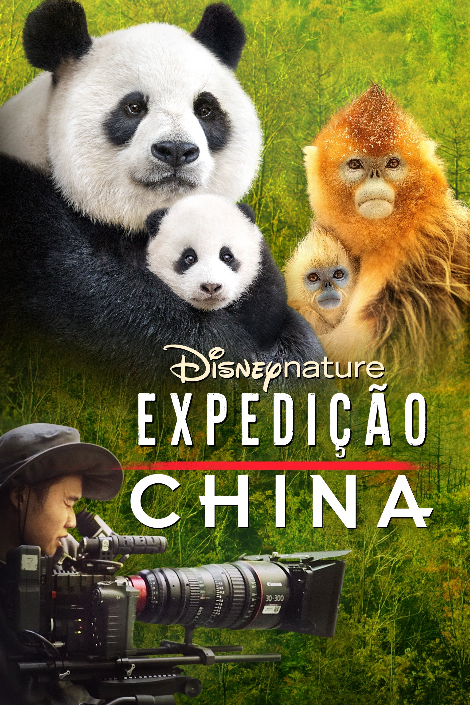 Poster de Expedição China