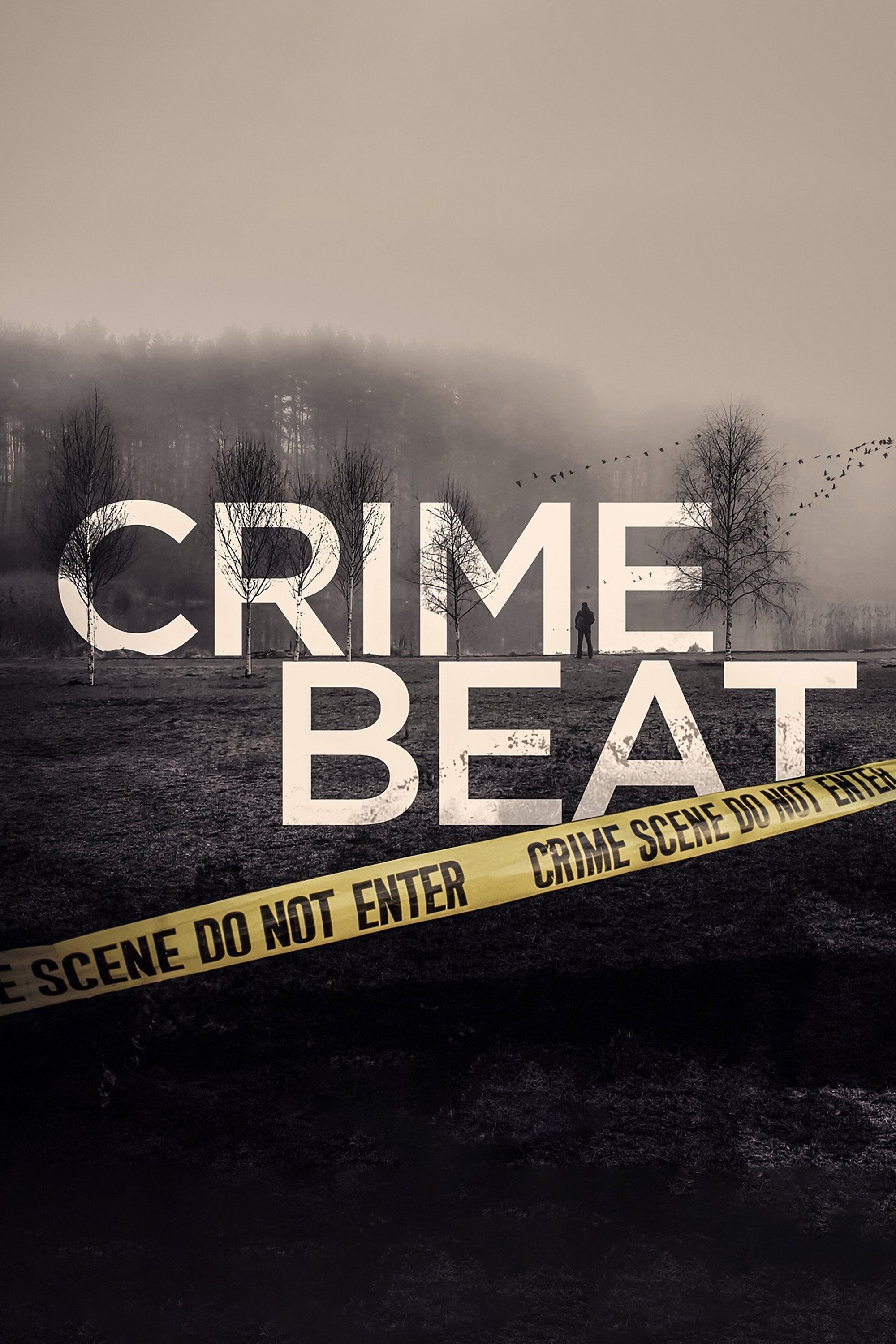 Poster de Crime Beat