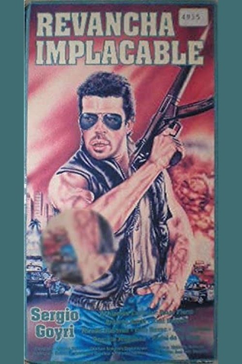 Poster de Revancha implacable