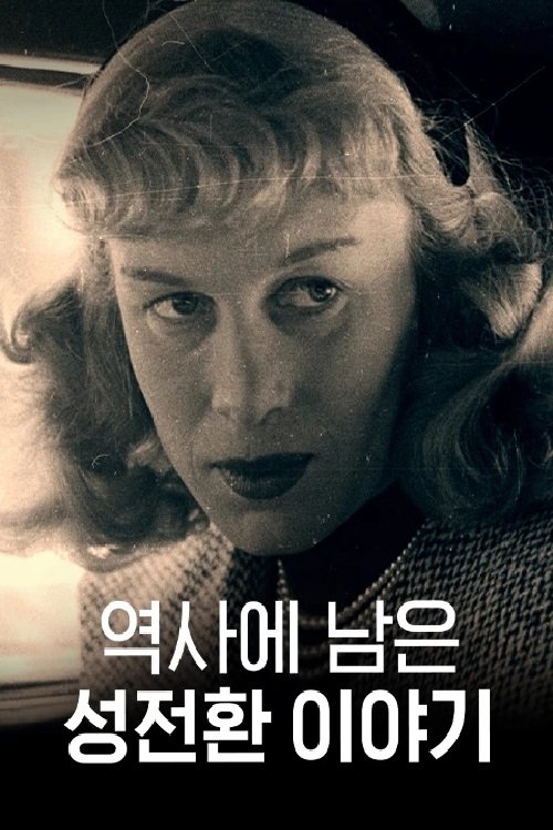 Poster de 역사에 남은 성전환 이야기
