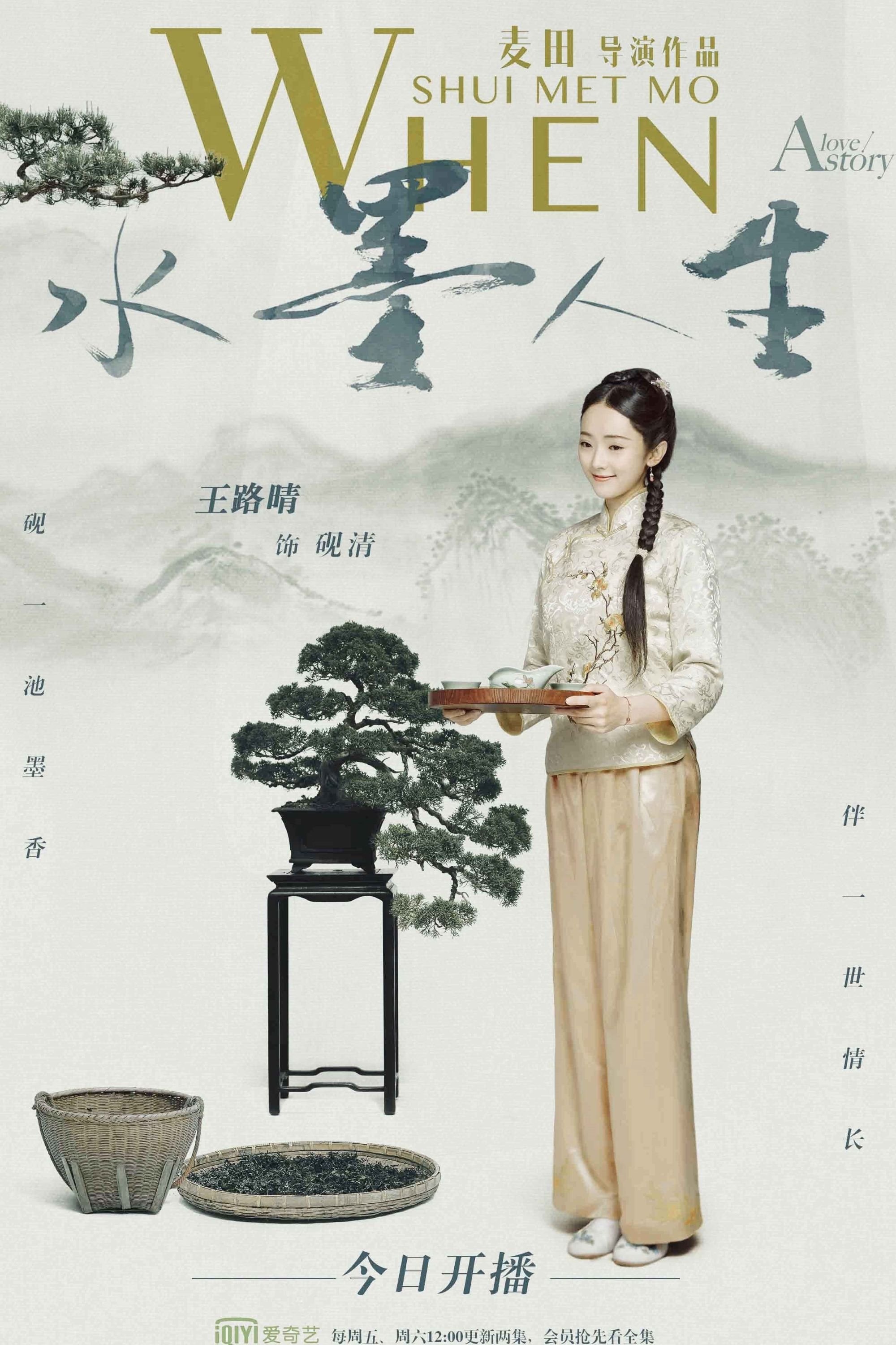 Poster de 水墨人生