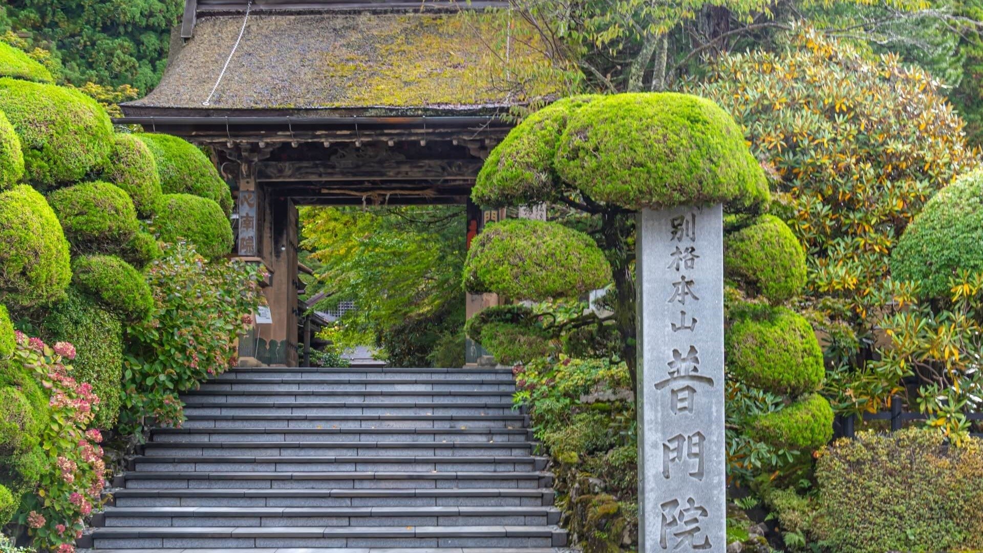 四季 高野山