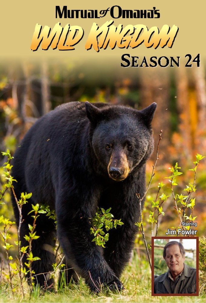 Poster de Temporada 24