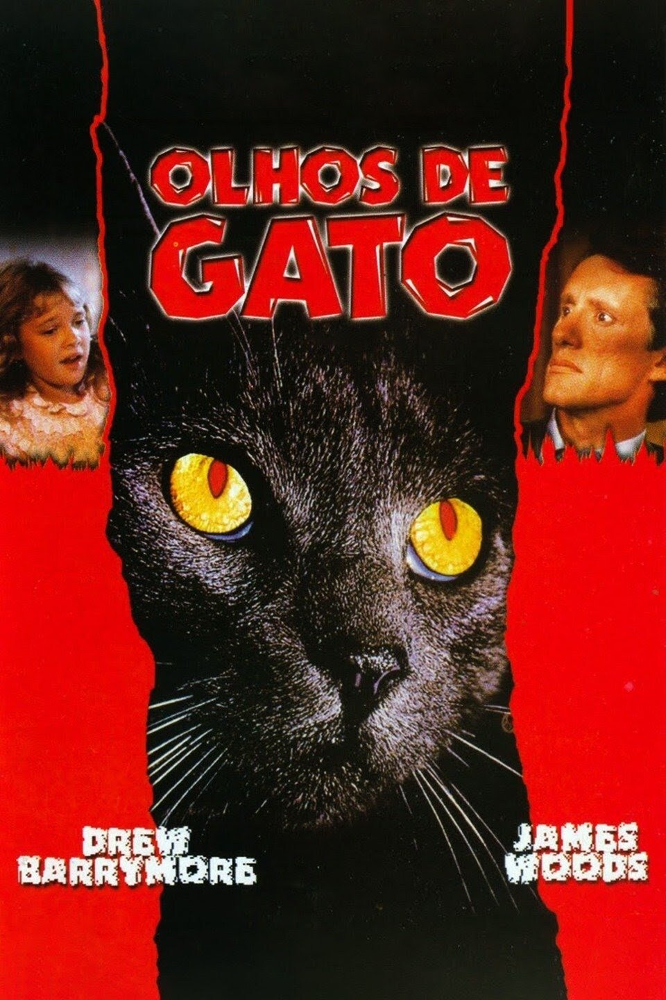 Poster de Olhos de Gato