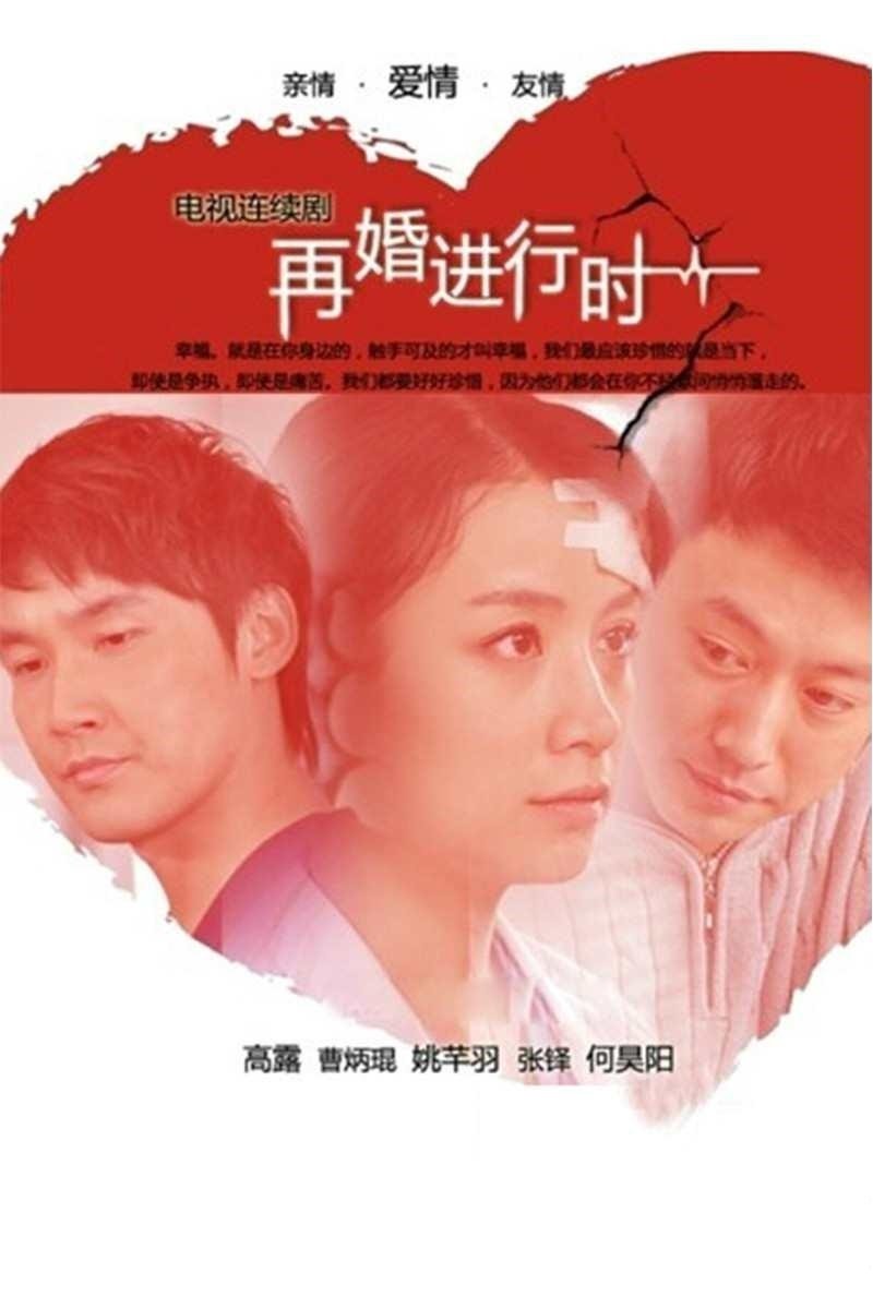 Poster de 再婚进行时