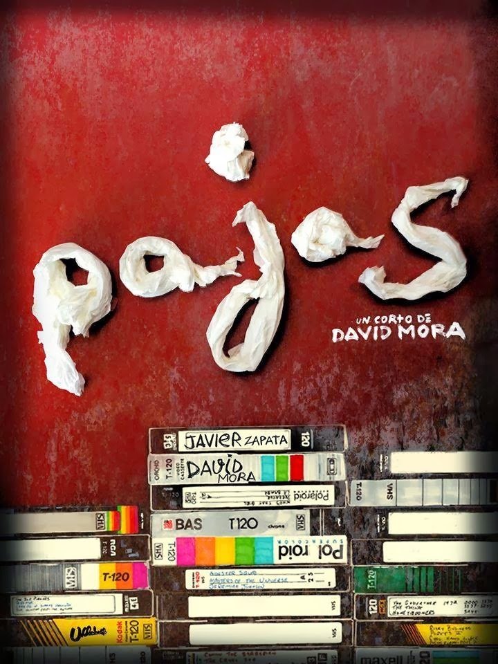 Poster de Pajas