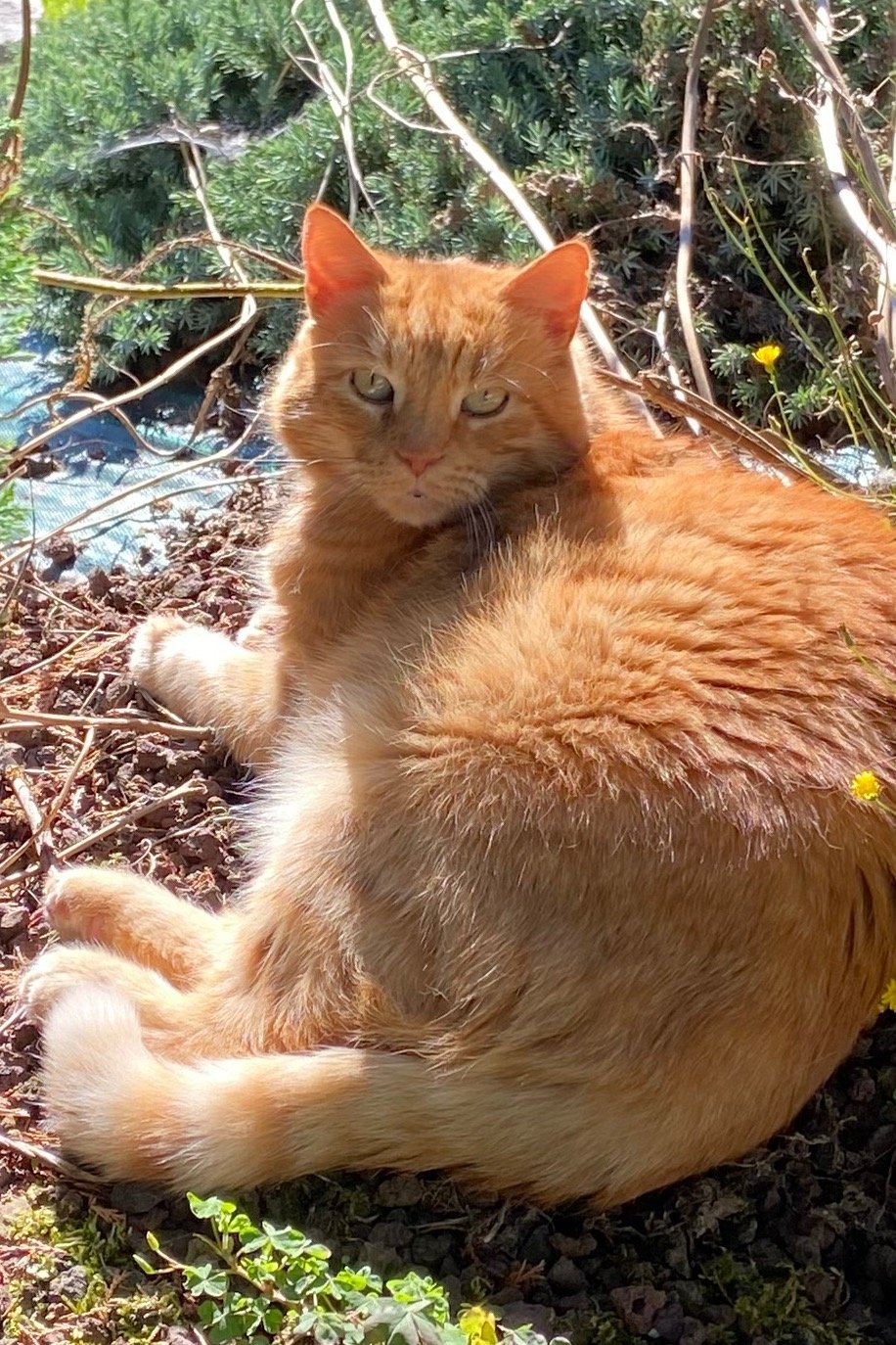 Profil Fotoğrafı