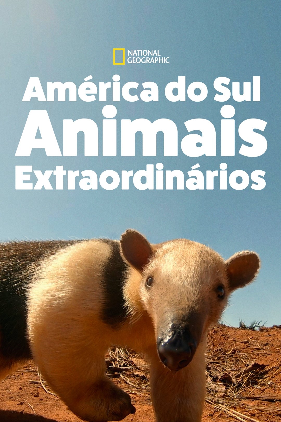 Poster de América do Sul: Animais Extraordinários