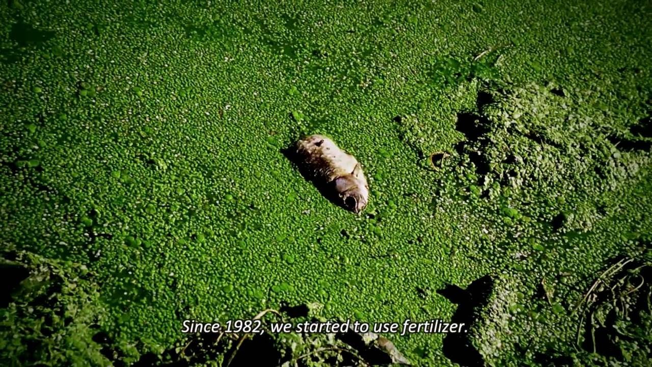 食为天