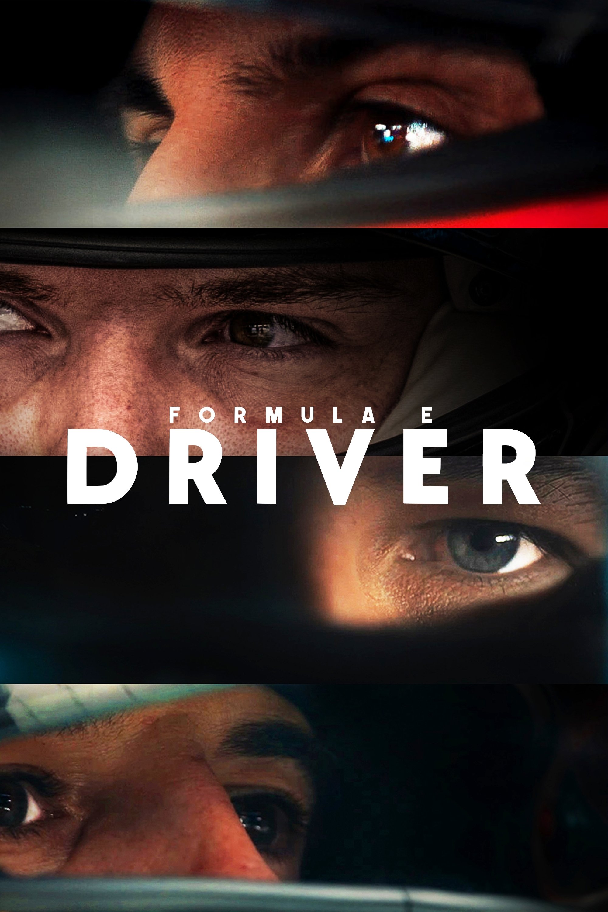 Poster de Formula E: DRIVER