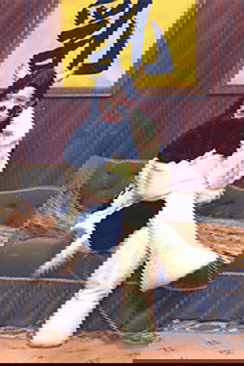 Poster de 笑う犬