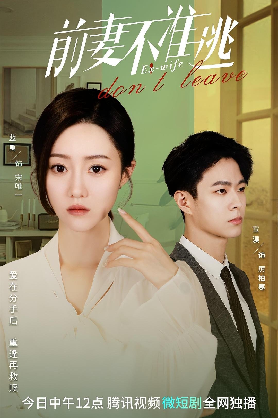 Poster de 前妻不准逃