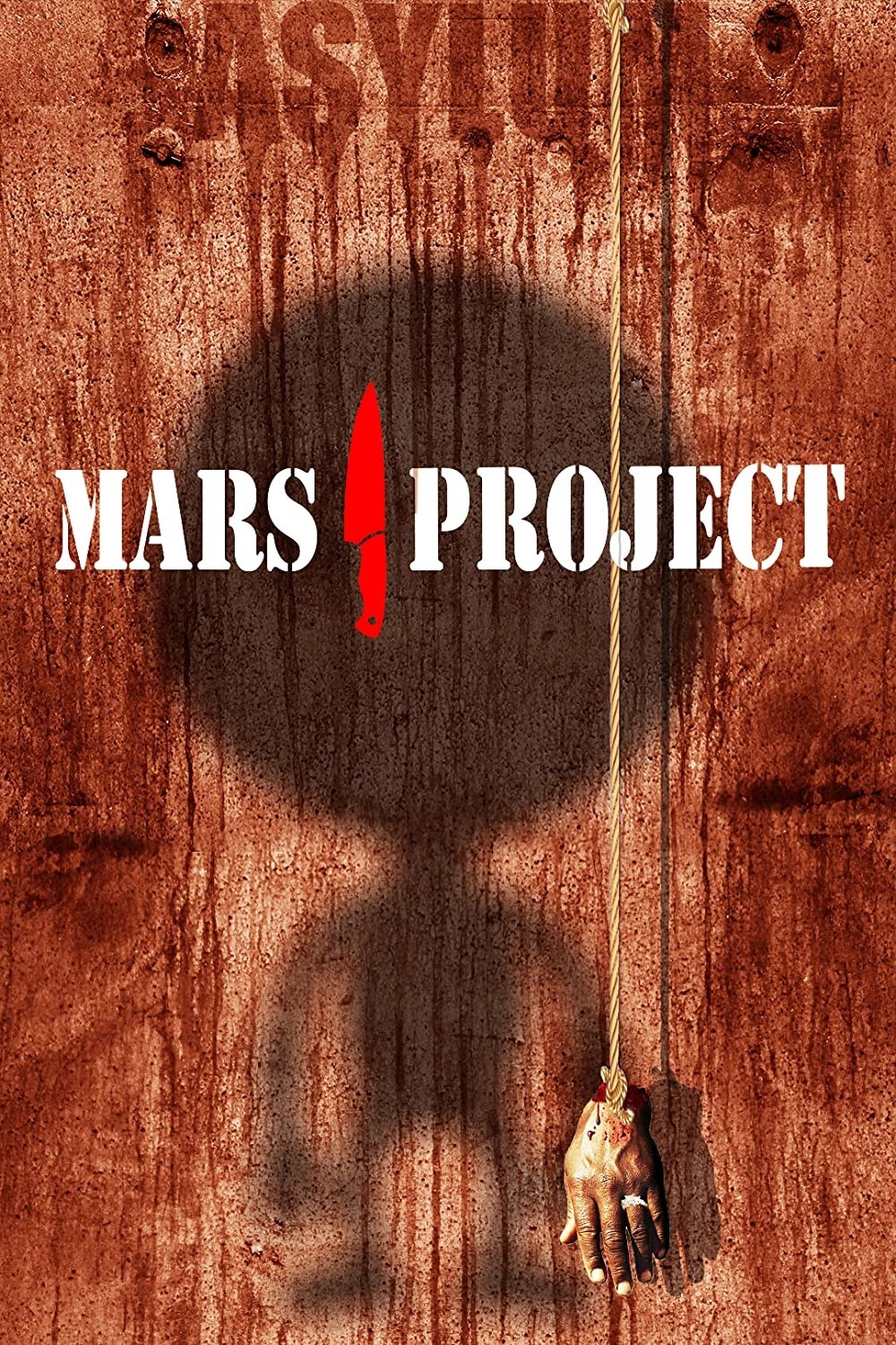 Poster de The Mars Project