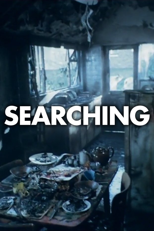 Poster de Searching