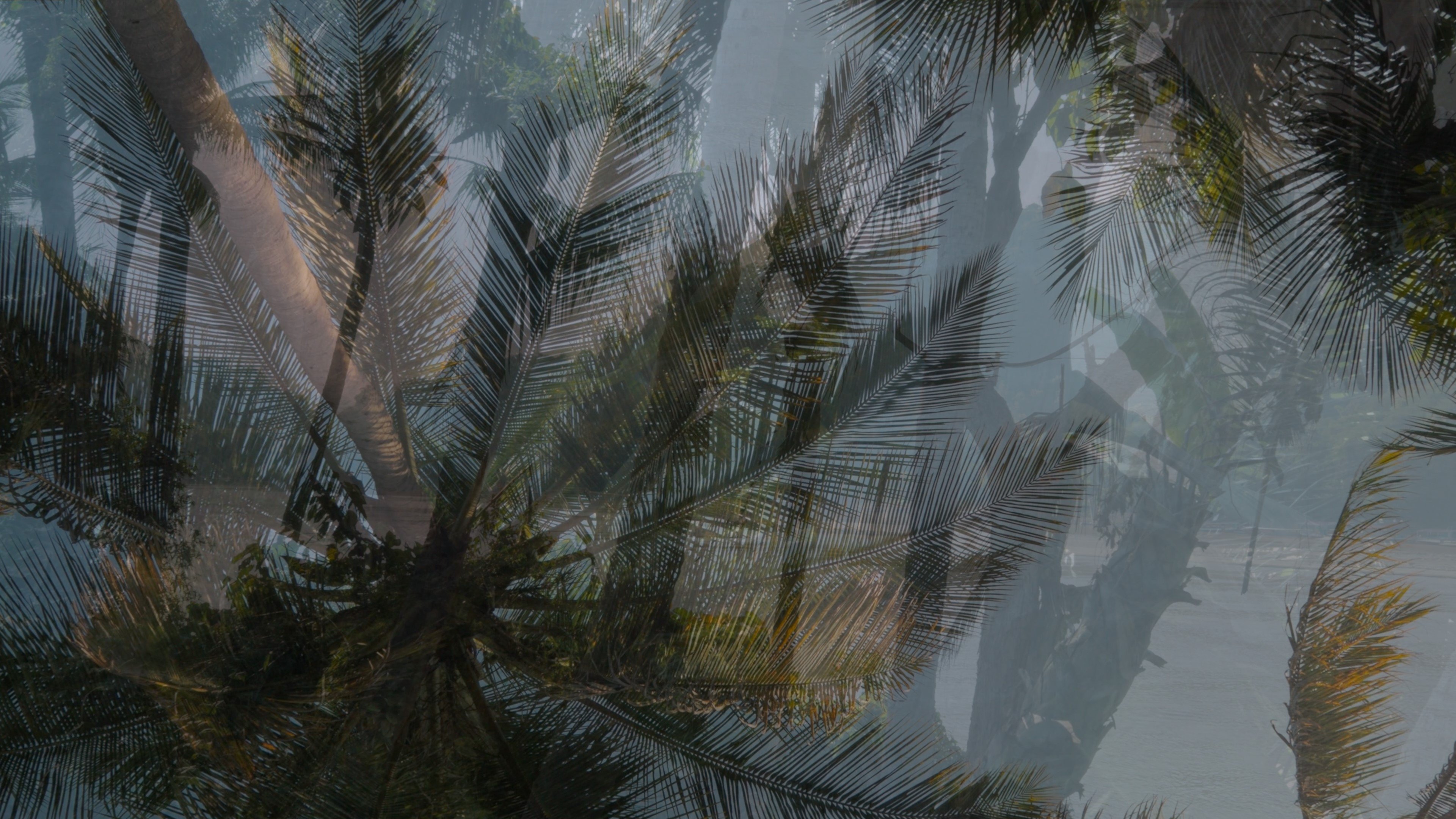 backdrops