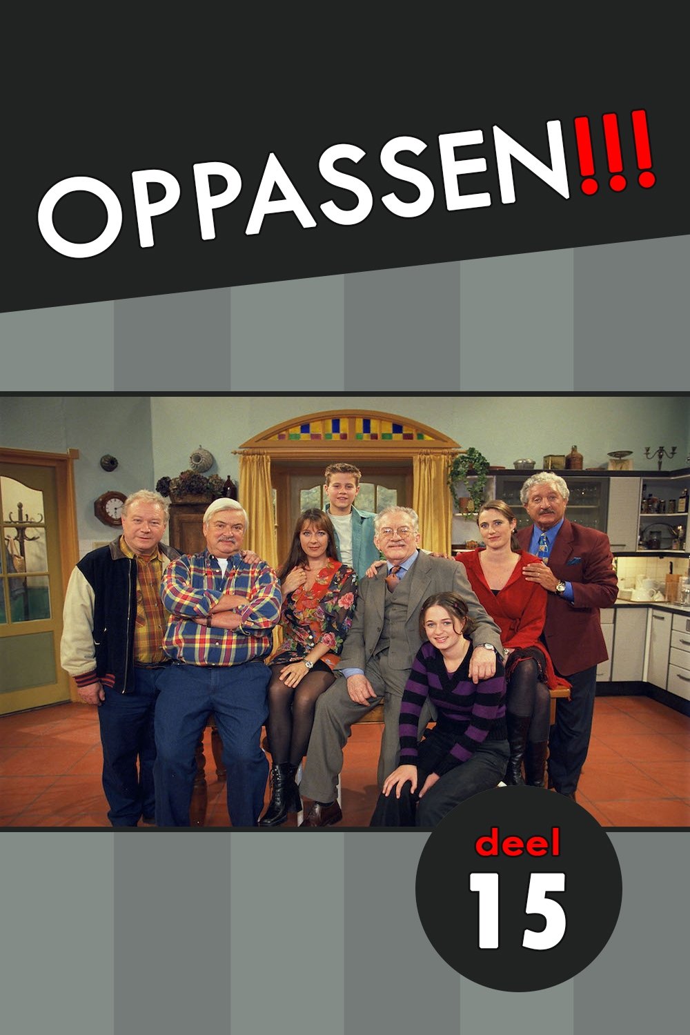 Poster de Temporada 15