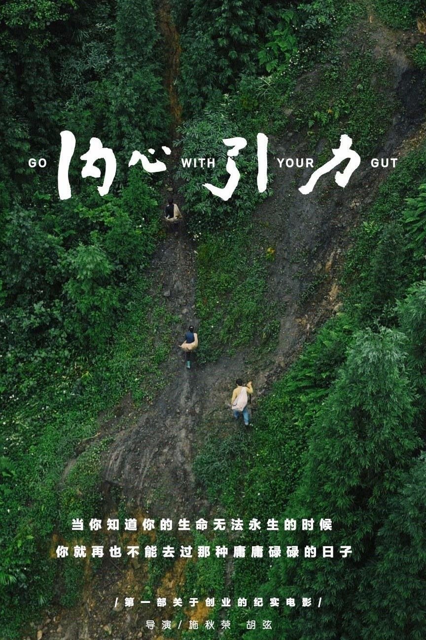 Poster de 内心引力