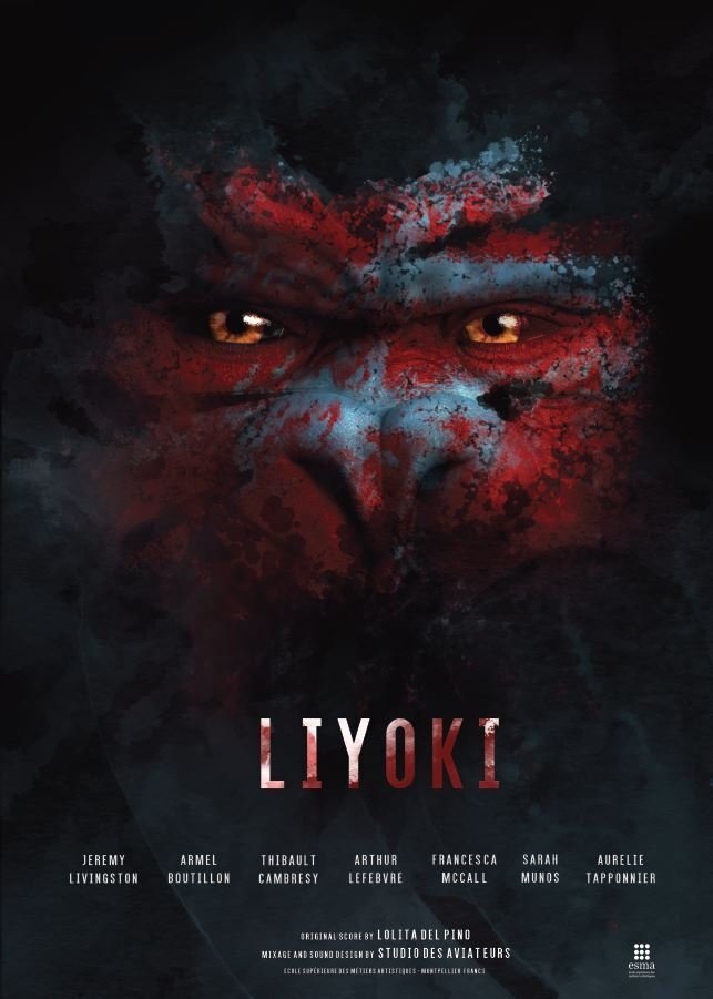 Poster de Liyoki