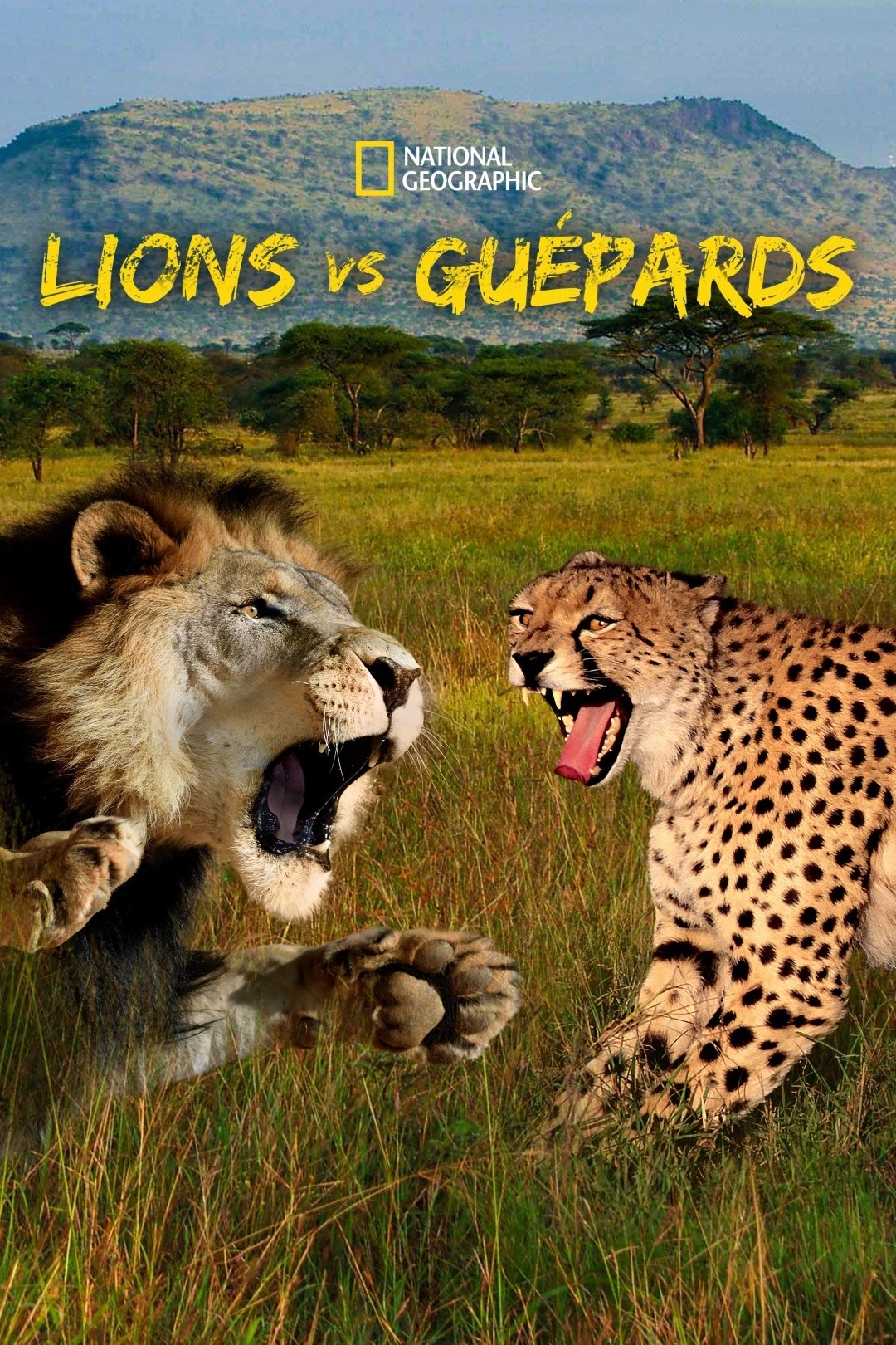 Affiche du film Cat Wars: Lion vs. Cheetah