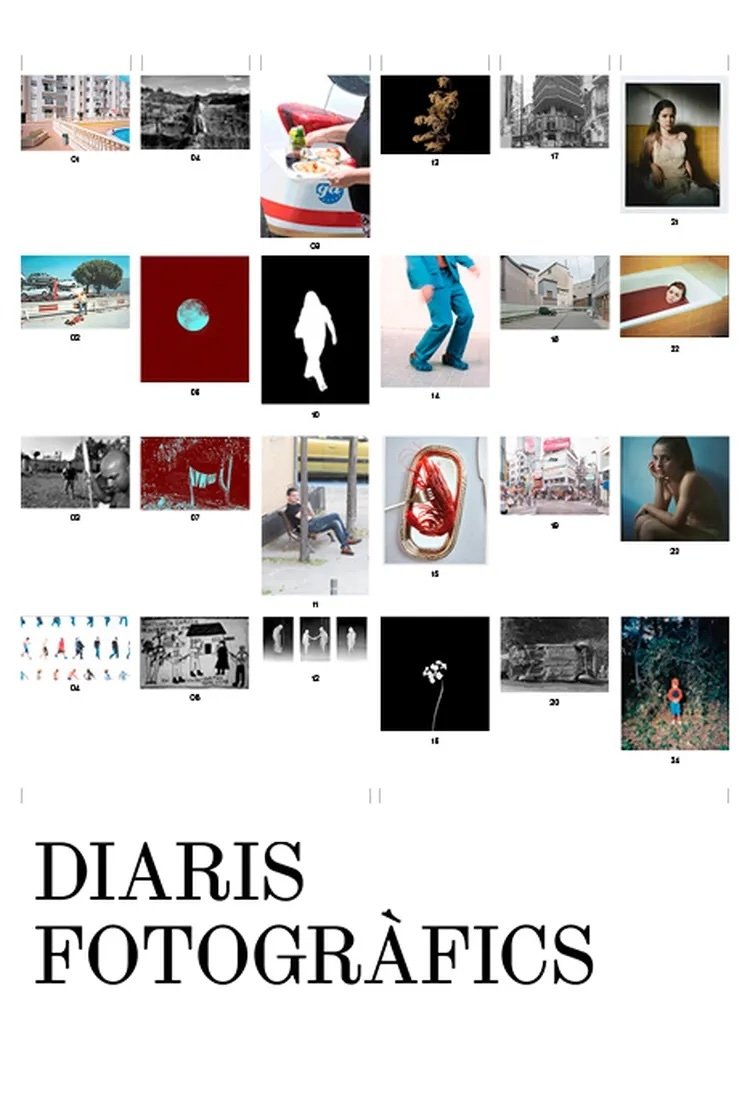 Poster de Diaris fotogràfics