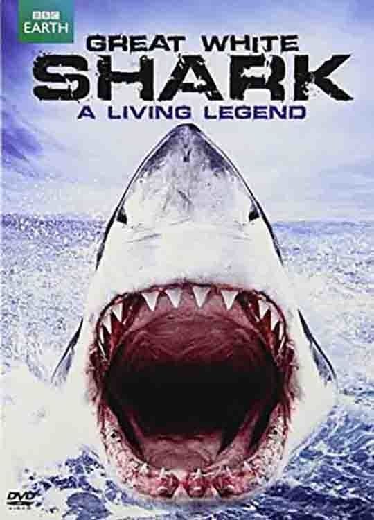 Poster de Great White Shark: A Living Legend