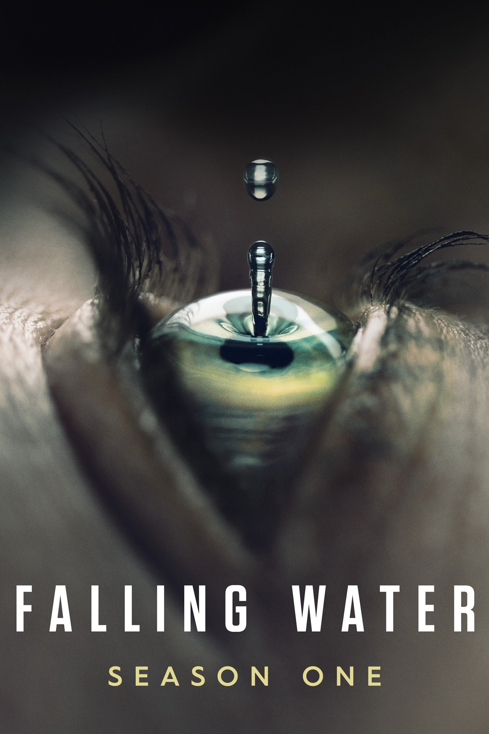 Poster de Season 1