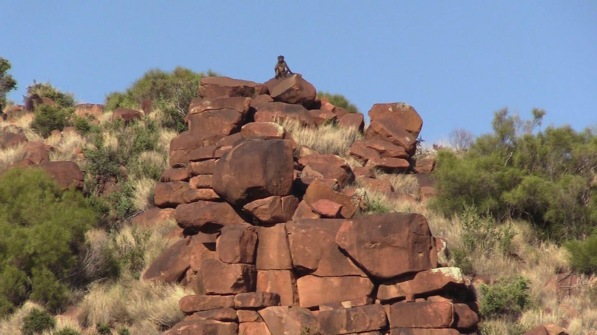 The Land of Great Thirst