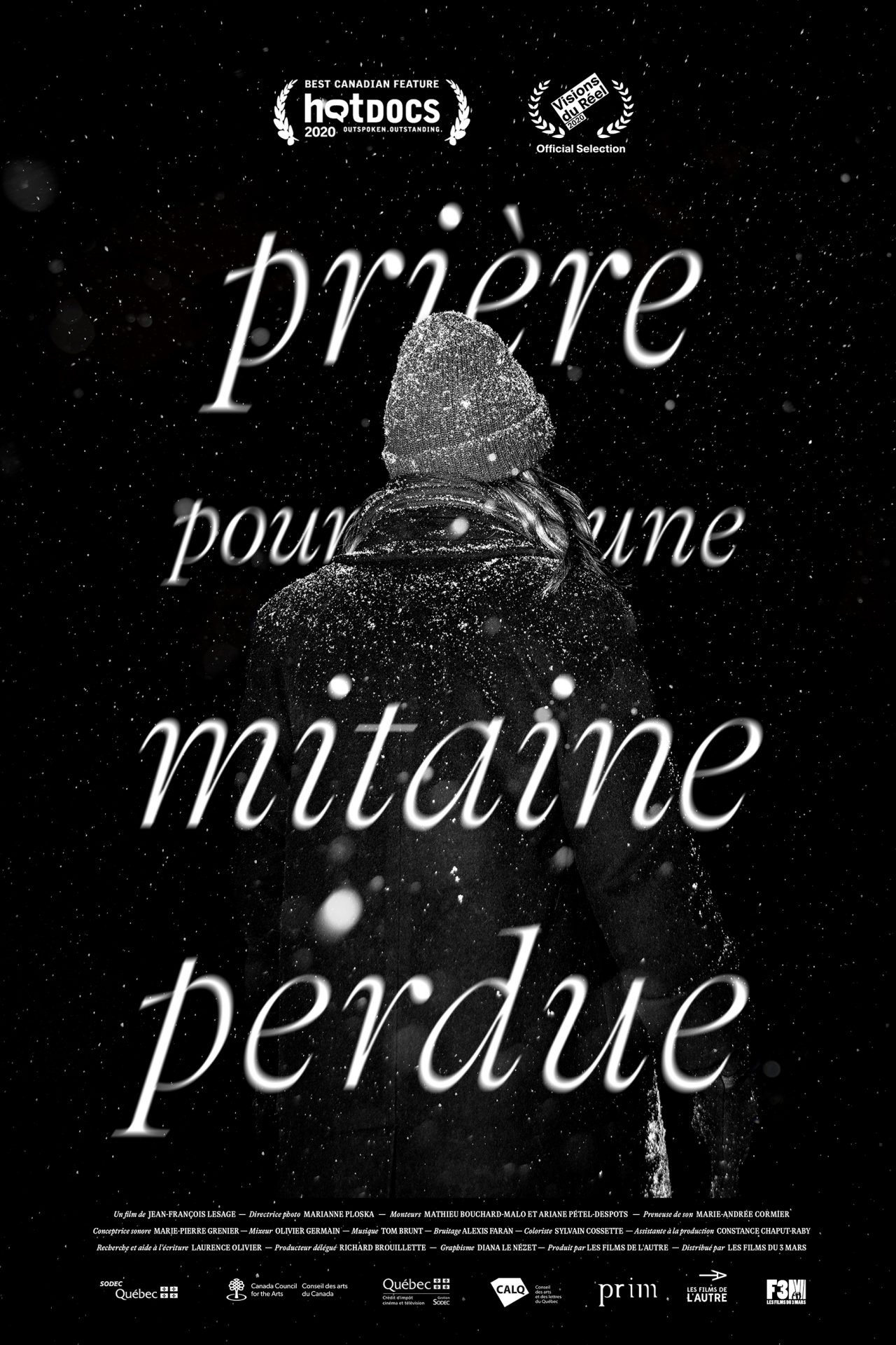 Poster de Prière pour une mitaine perdue
