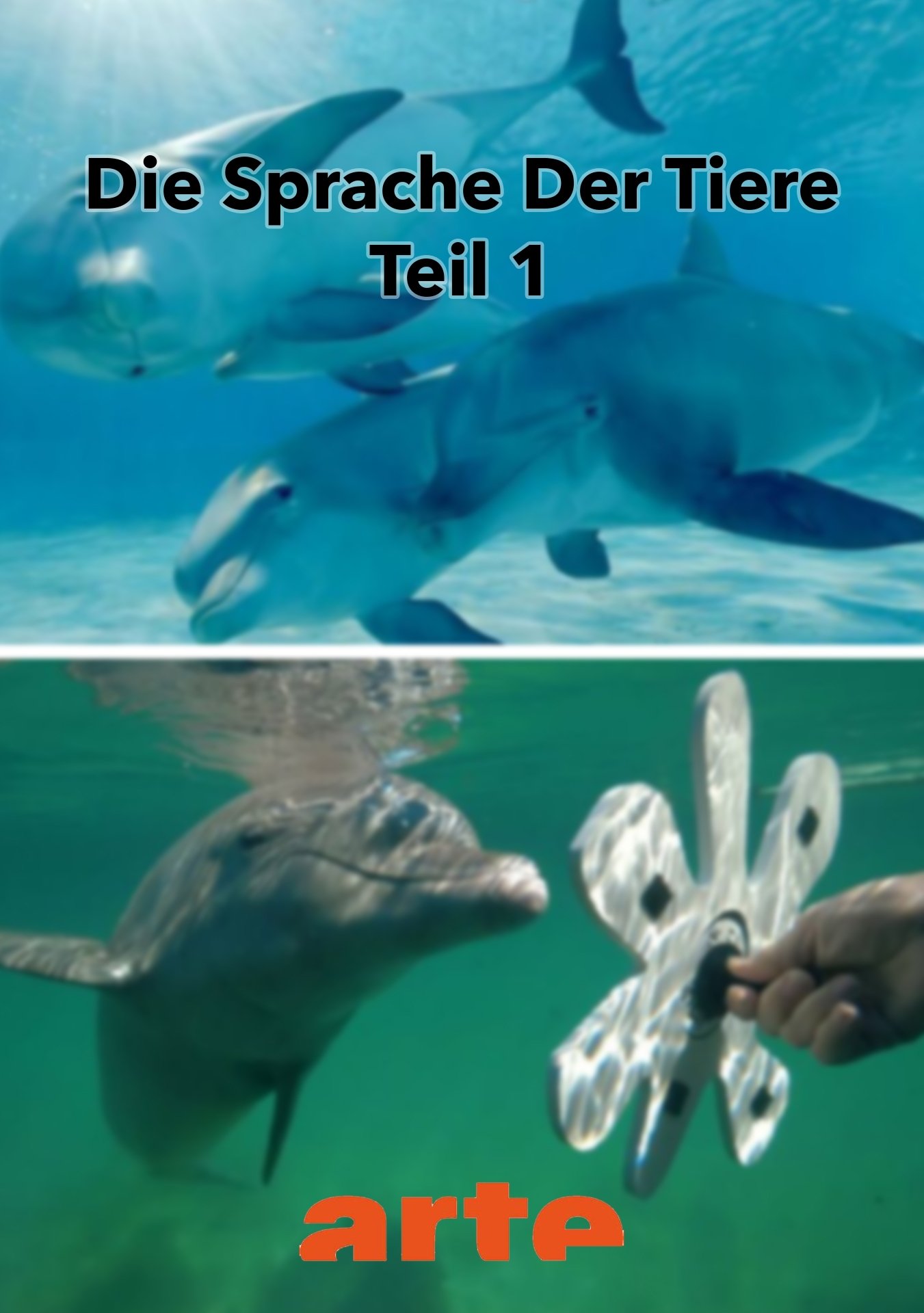title