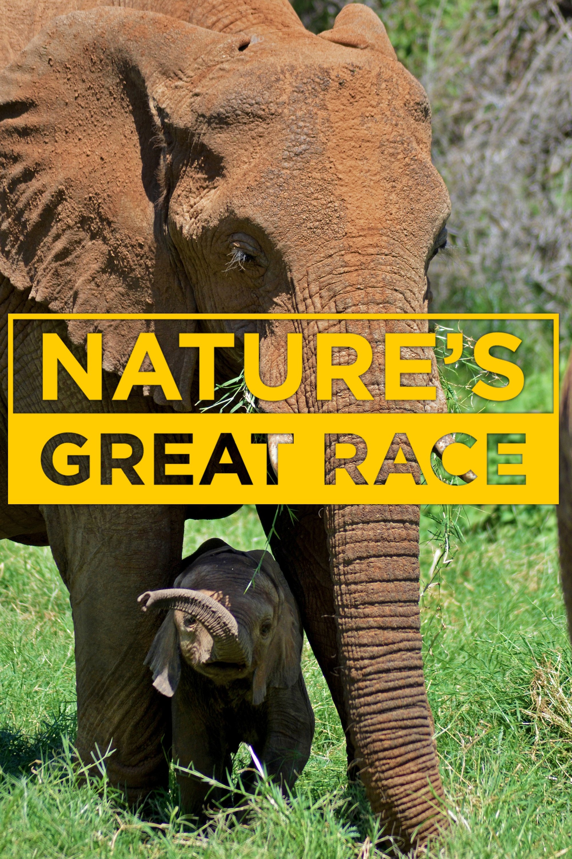Poster de Nature's Epic Journeys