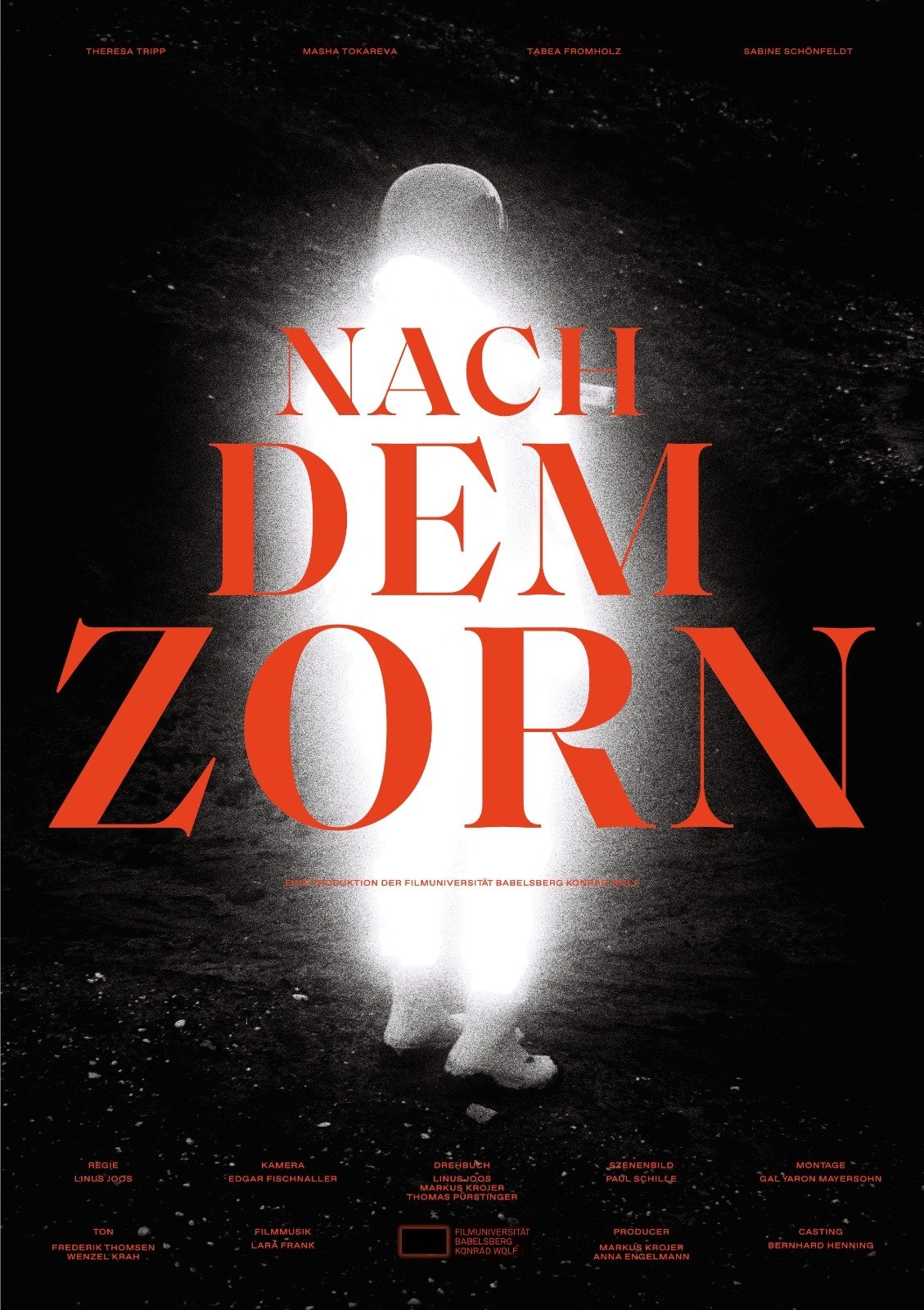 Poster de Nach dem Zorn