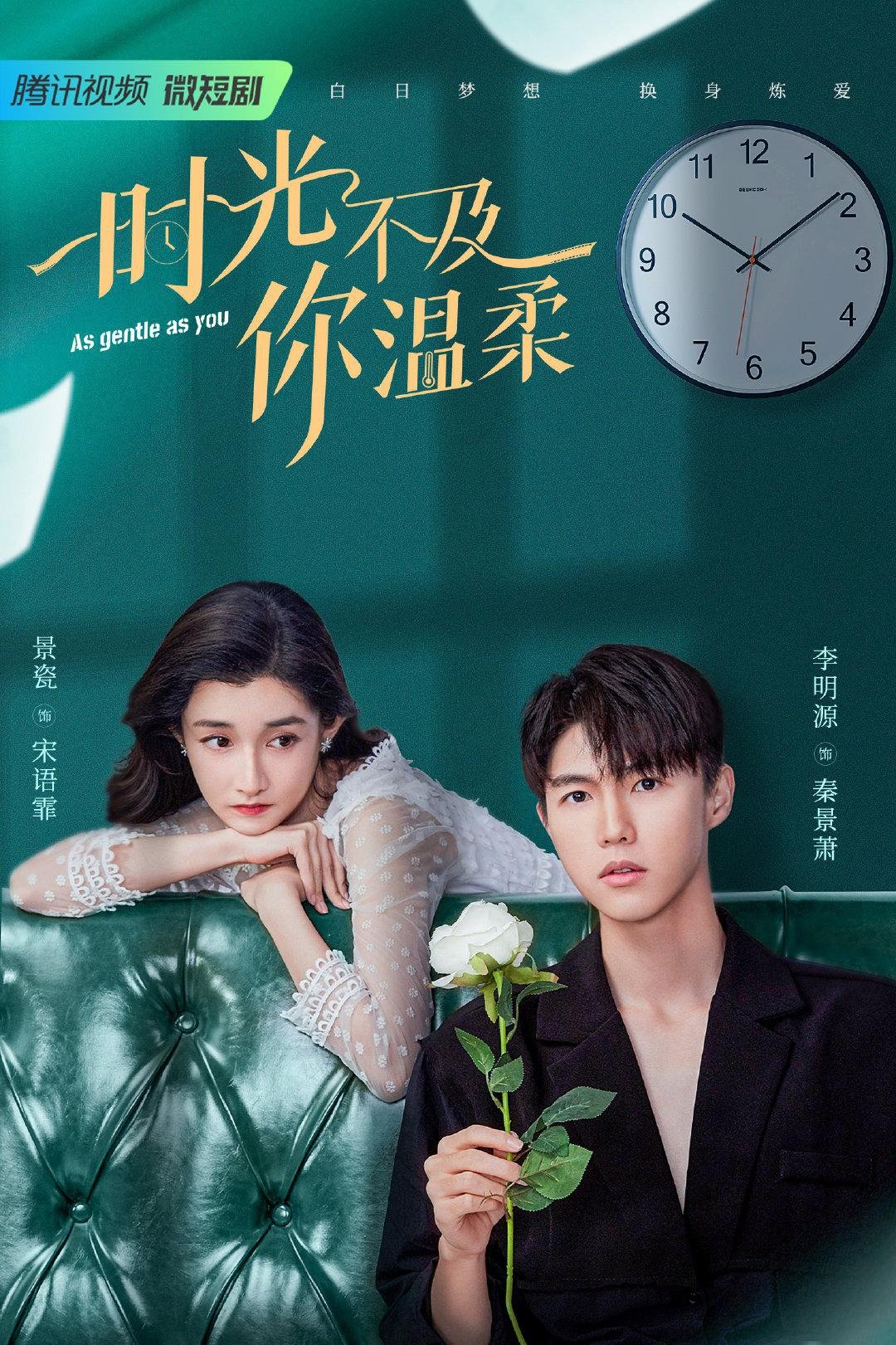 Poster de 时光不及你温柔