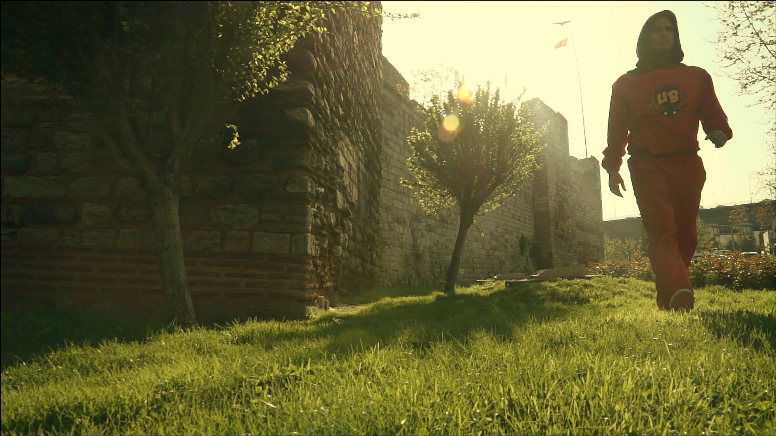 Image 5
