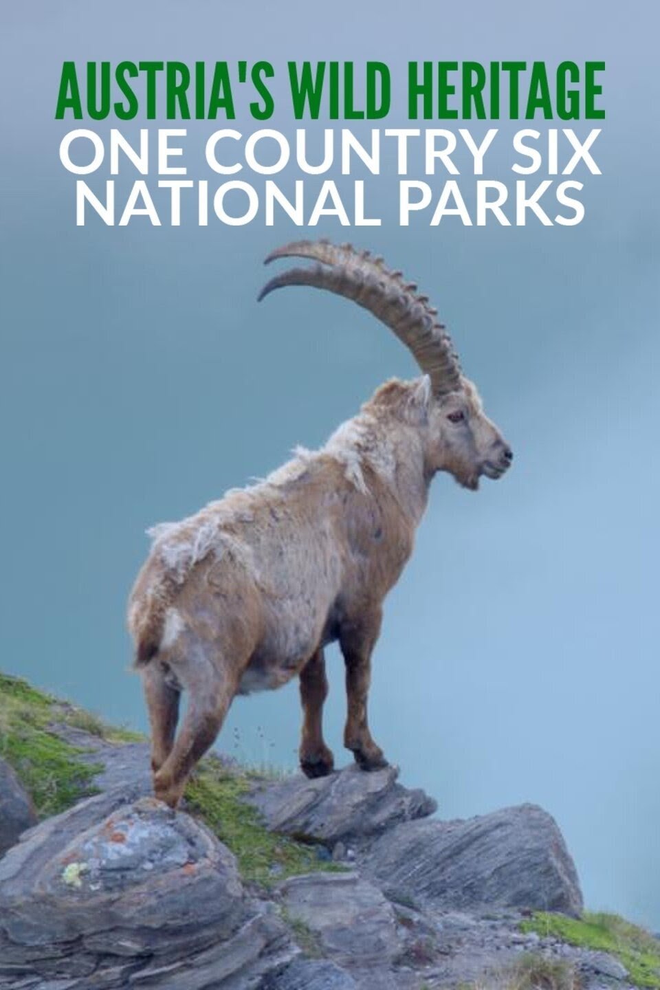 Poster de Naturerbe Österreich - Die Nationalparks