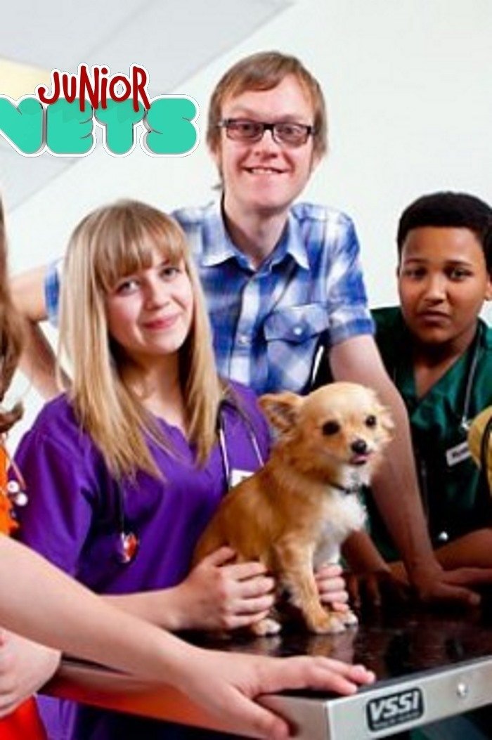 Poster de Junior Vets