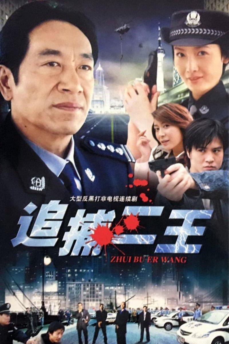 Poster de 追捕二王