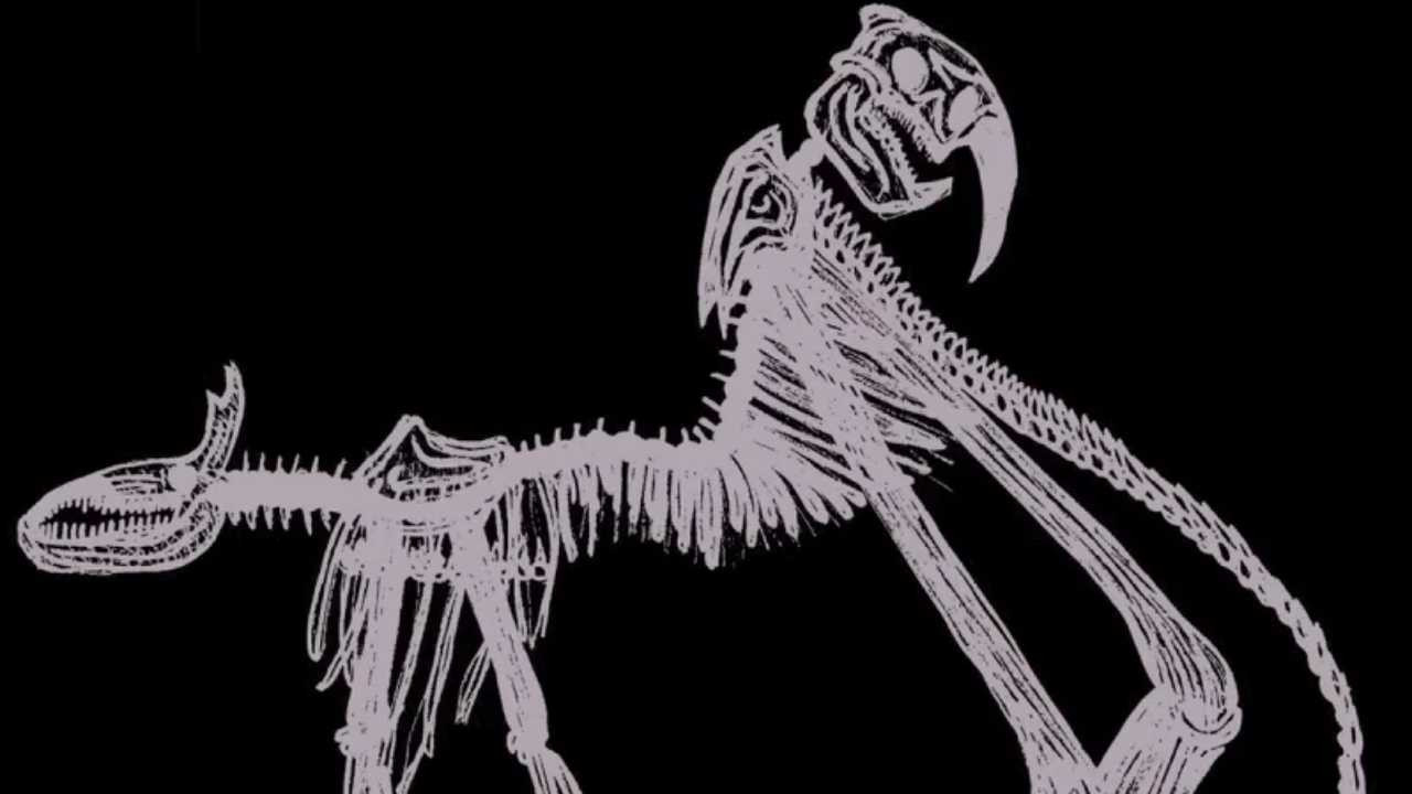 Alternate American Folklore