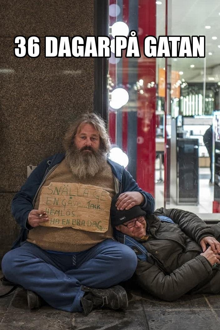 Poster de 36 dagar på gatan