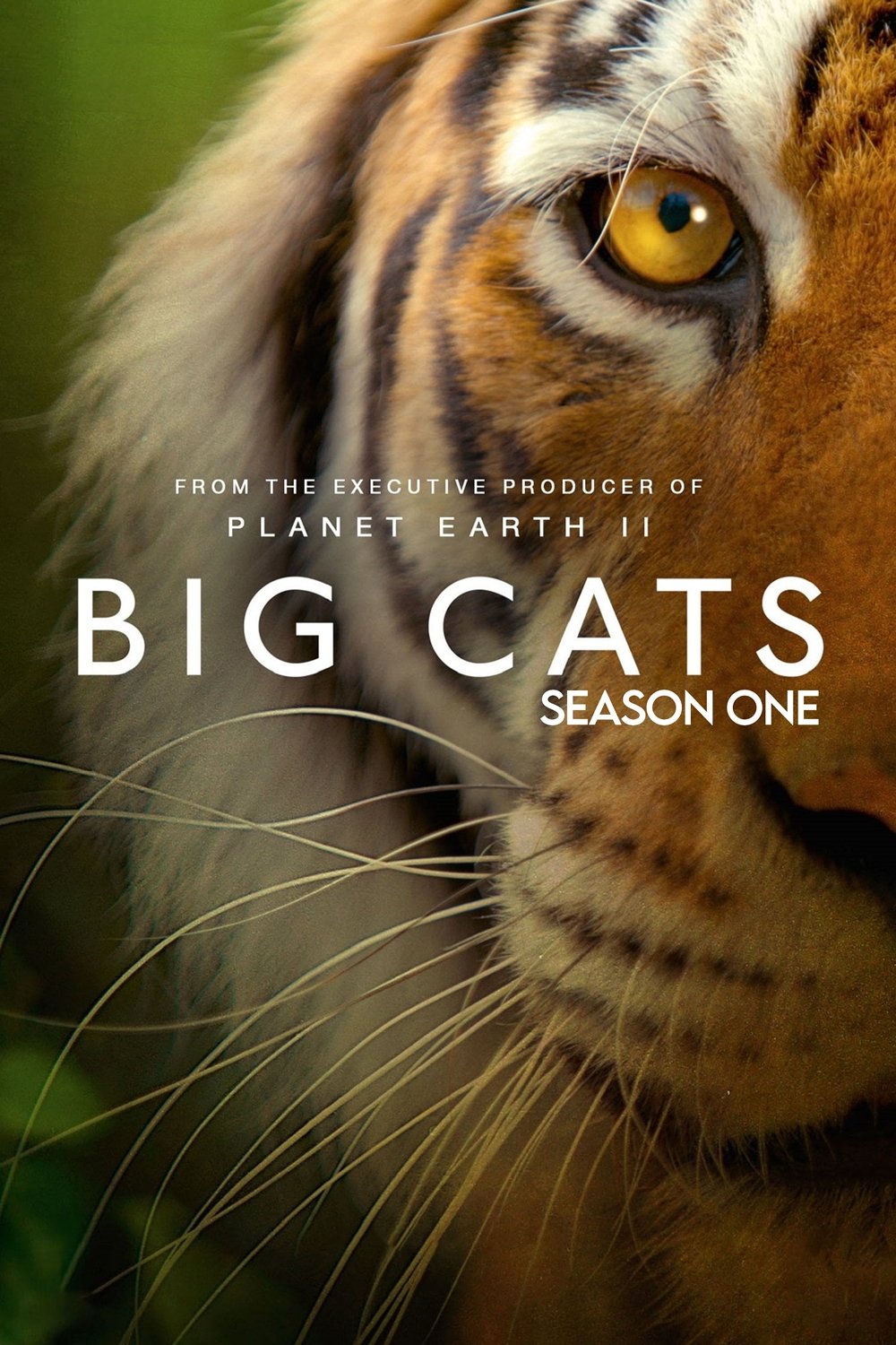 Poster de Temporada 1
