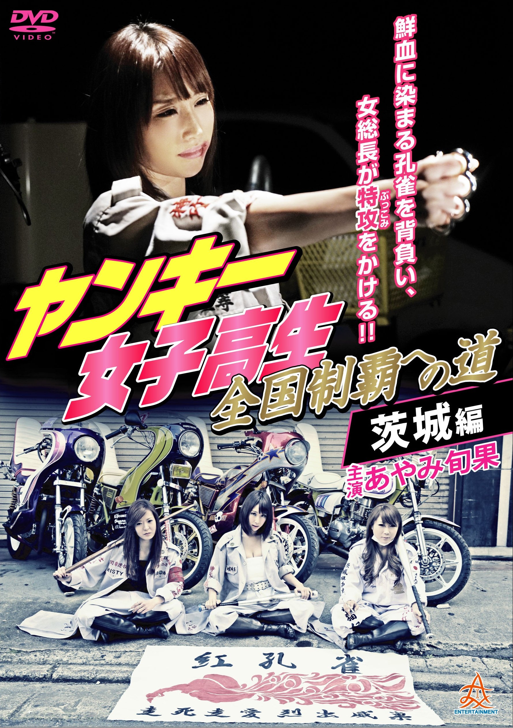Poster de ンキー女子高生　全国制覇への道　茨城編