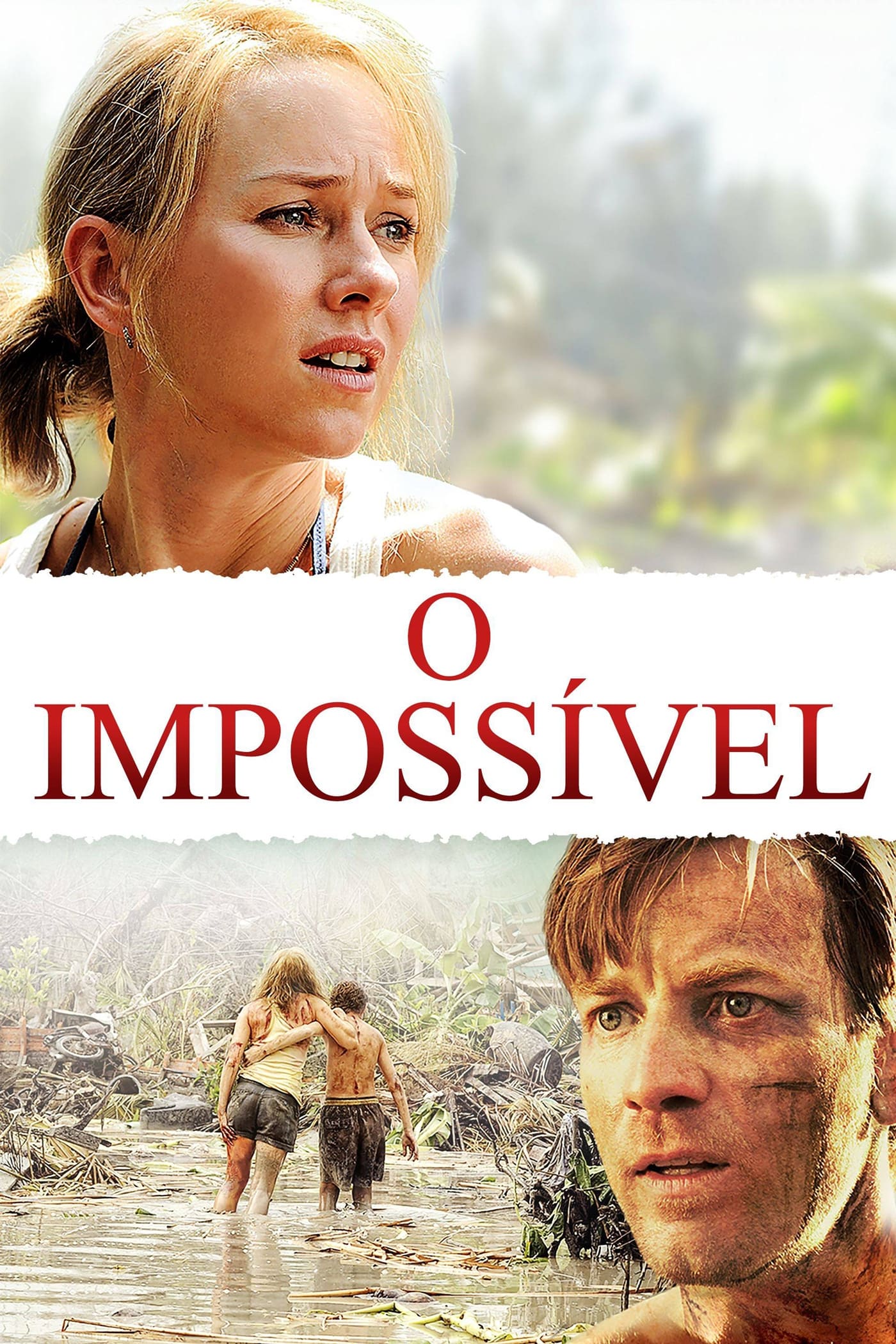 Poster de O Impossível