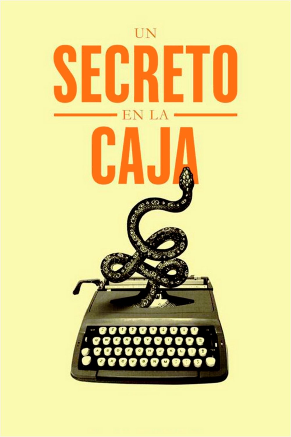 Poster de Un secreto en la caja
