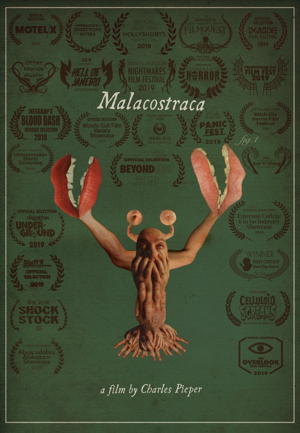 Poster de Malacostraca