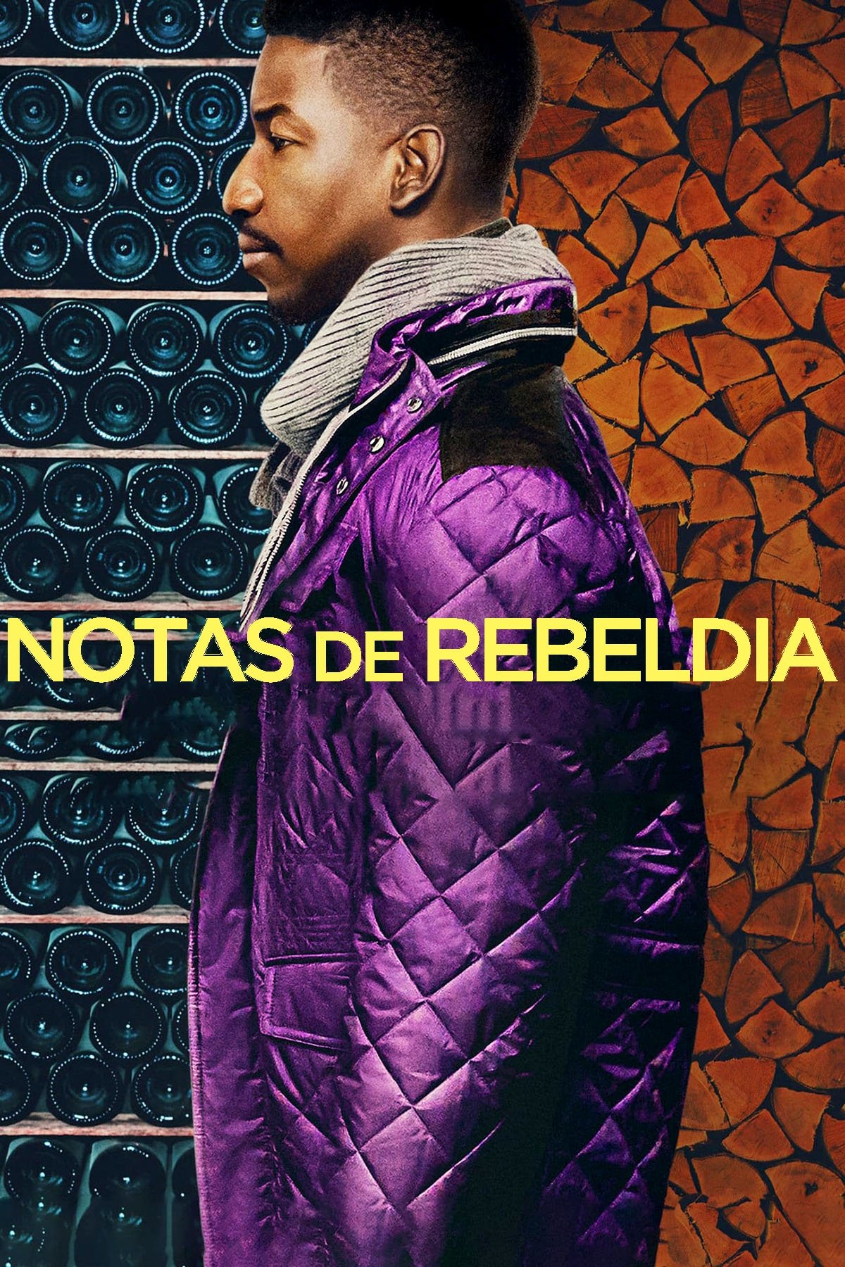 Poster de Notas de Rebeldia