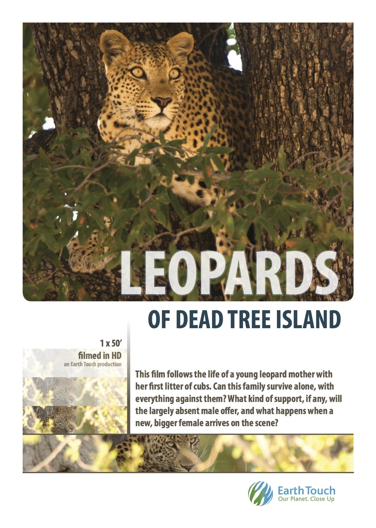 Affiche du film Leopards of Dead Tree Island