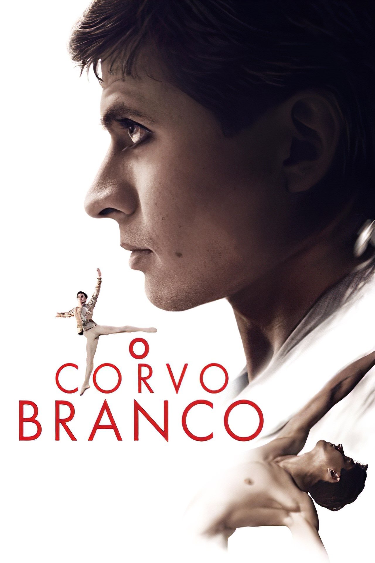Poster de O Corvo Branco