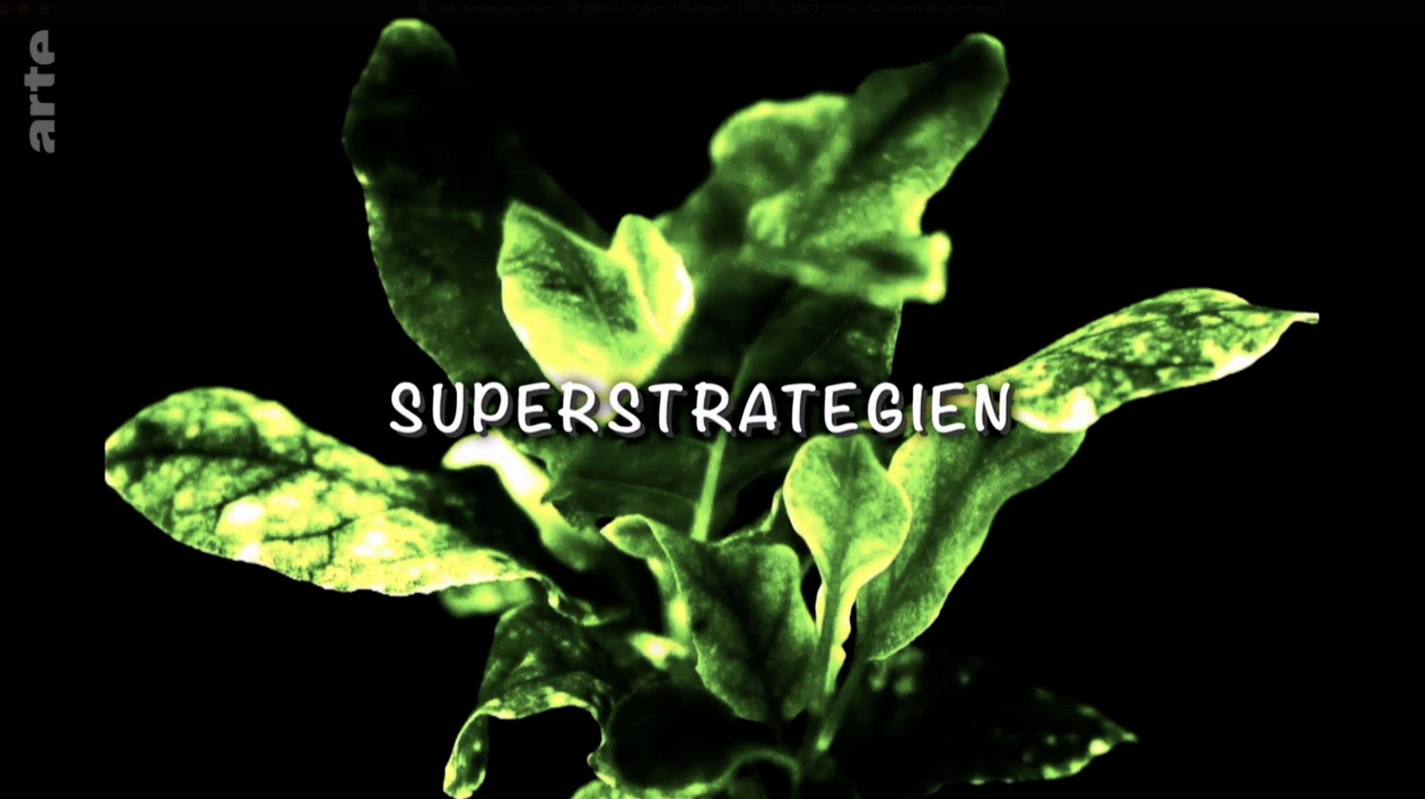 Super strategies