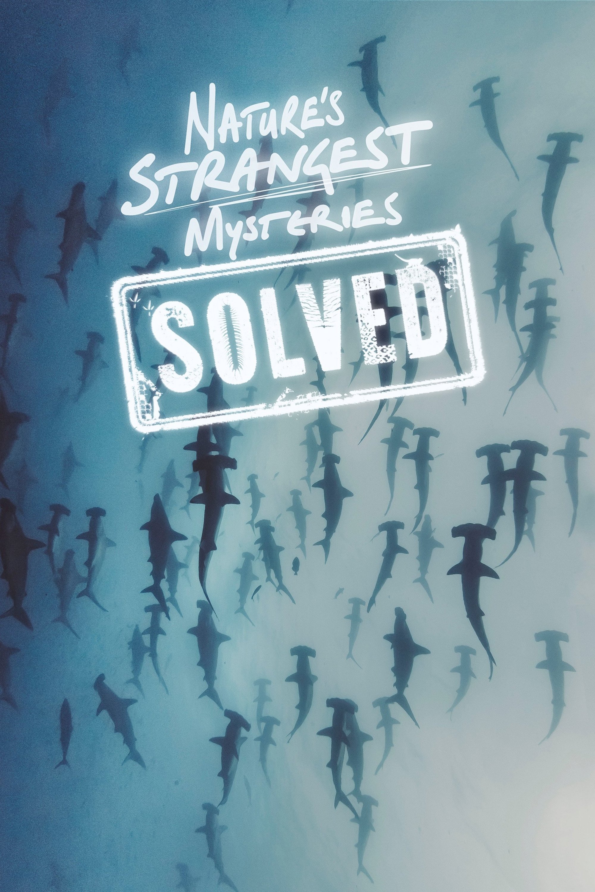 Poster de Nature's Strangest Mysteries: Solved