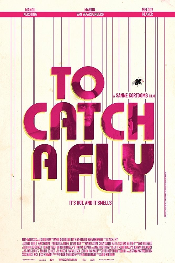 Poster de To Catch a Fly